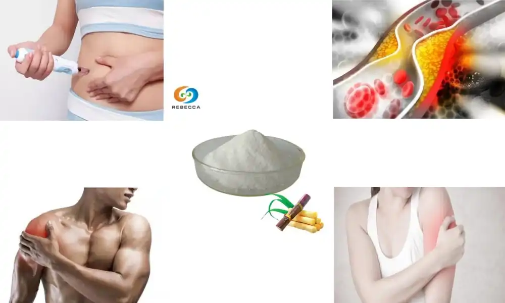 What is octacosanol used for?